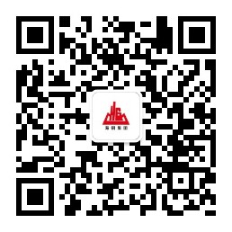 海南海鋼集團(tuán)有限公司